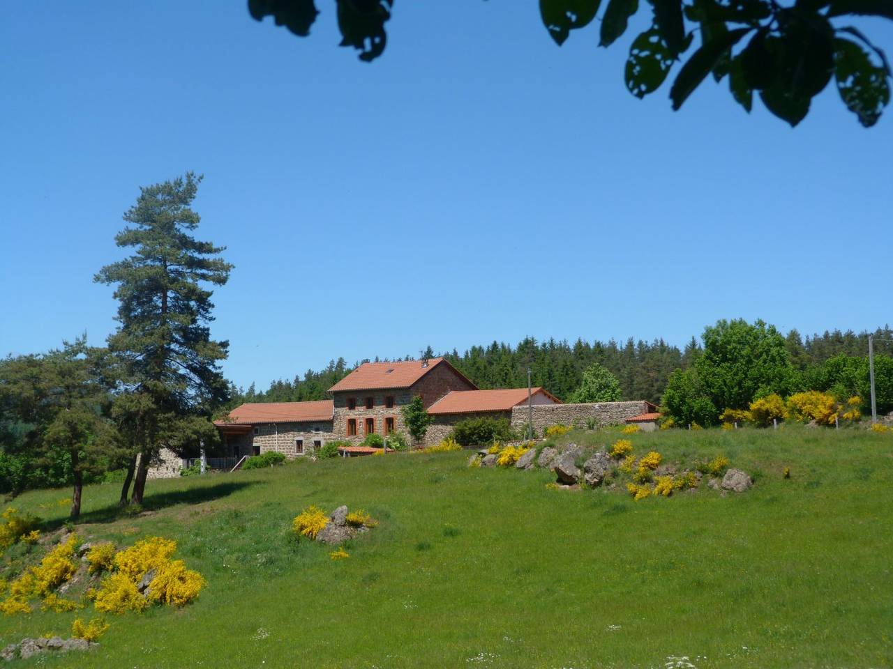 Gîte en Auvergne Rhone Alpes in Usson-en-Forez, Montbrison