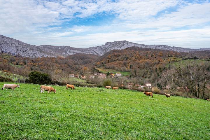 Casa rural para 5 personas en Teverga - 3