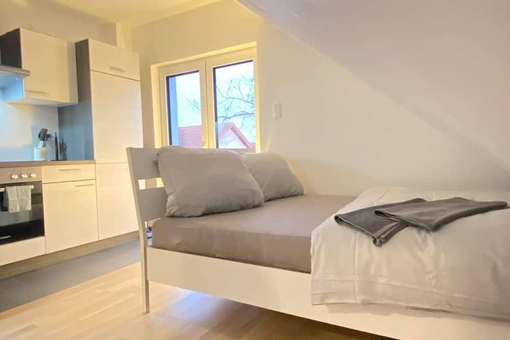 Apartamento entero, Charmantes Studio-apartment im Herzen von Karlsruhe in Karlsruhe, Llanura del Rin
