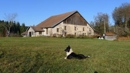 Chambre d’hôte pour 2 personnes, avec jardin dans les Vosges