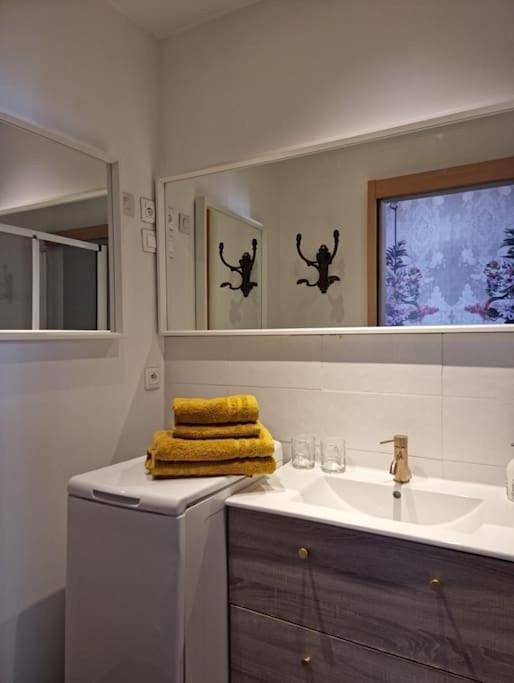 Gîte pour 2 personnes, avec vue ainsi que jardin et terrasse, animaux acceptés à Roubaix - 4