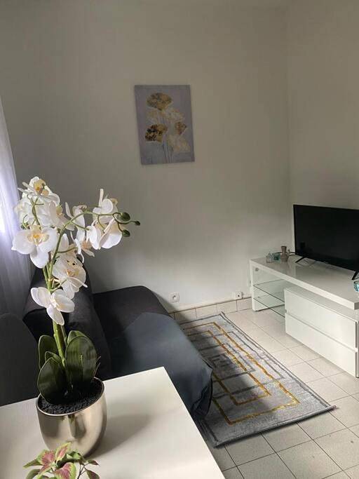 Appartement entier, One-Bedroom Apartment in Longjumeau, Essonne
