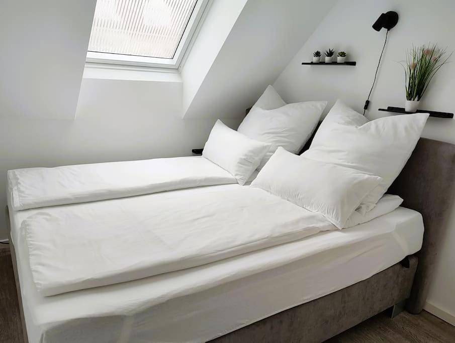 Ganze Wohnung, Modernes zentrales Apartment in Bruchsal, Kraichgau