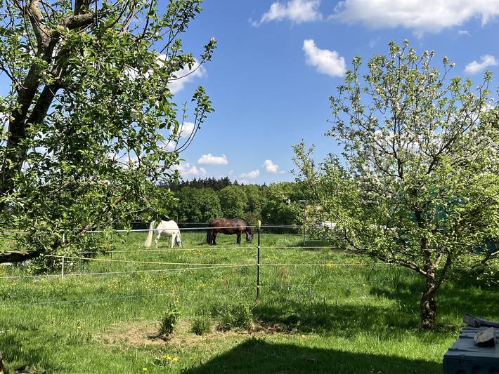 Ferienwohnung für 4 Personen, mit Balkon und Garten in Waging am See - 2