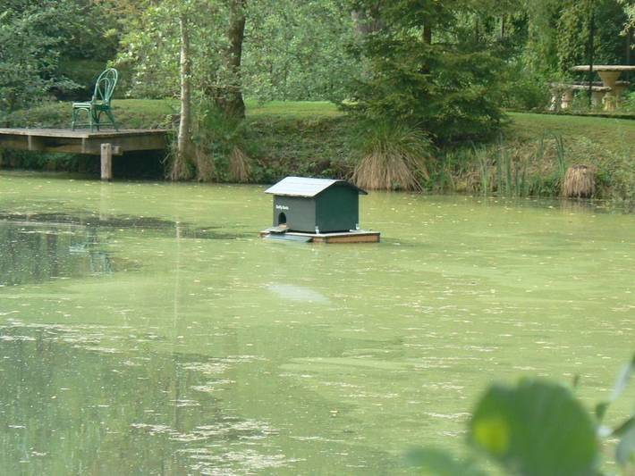 Maison de vacances pour 2 personnes, avec vue sur le lac ainsi que vue et jardin dans la Meuse - 2