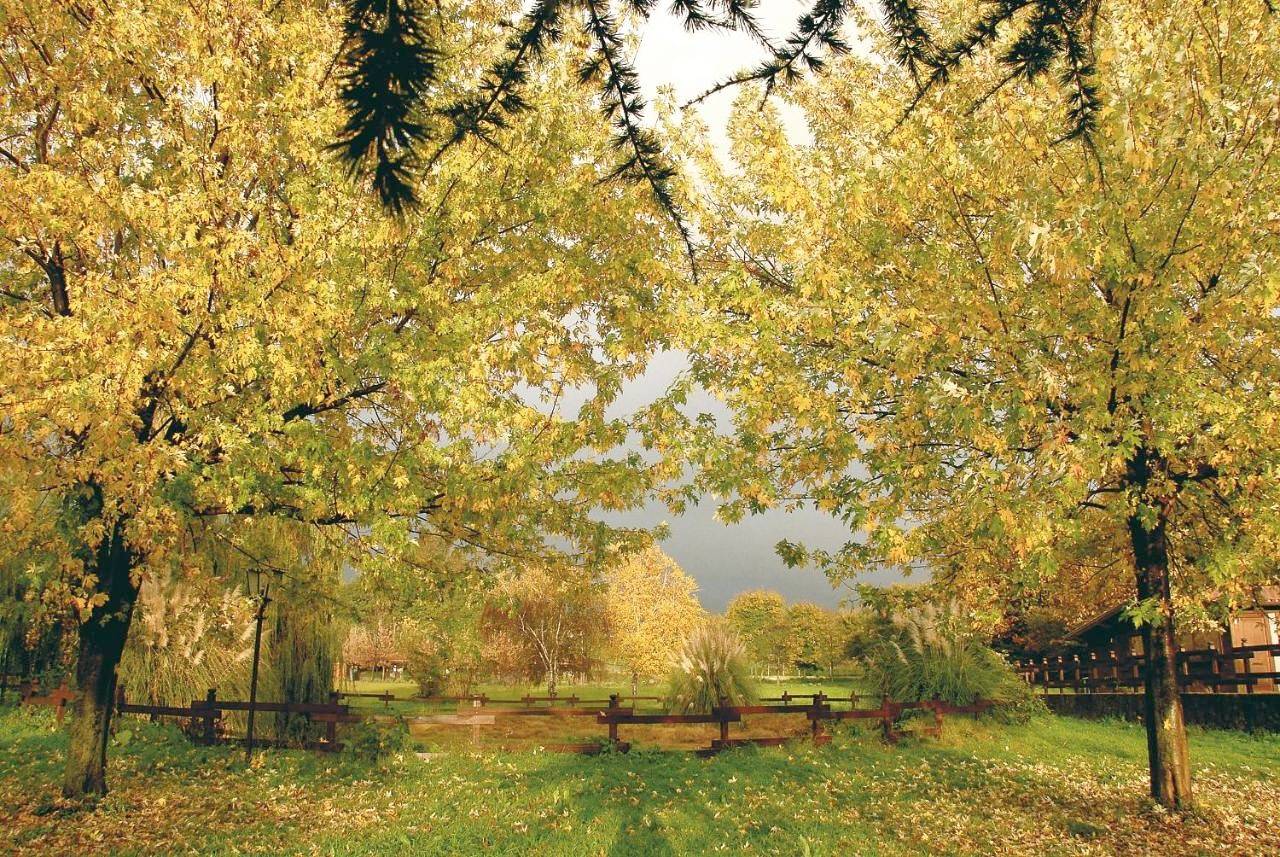 Agriturismo Monte Due Torri in Genzano di Roma, Castelli Romani