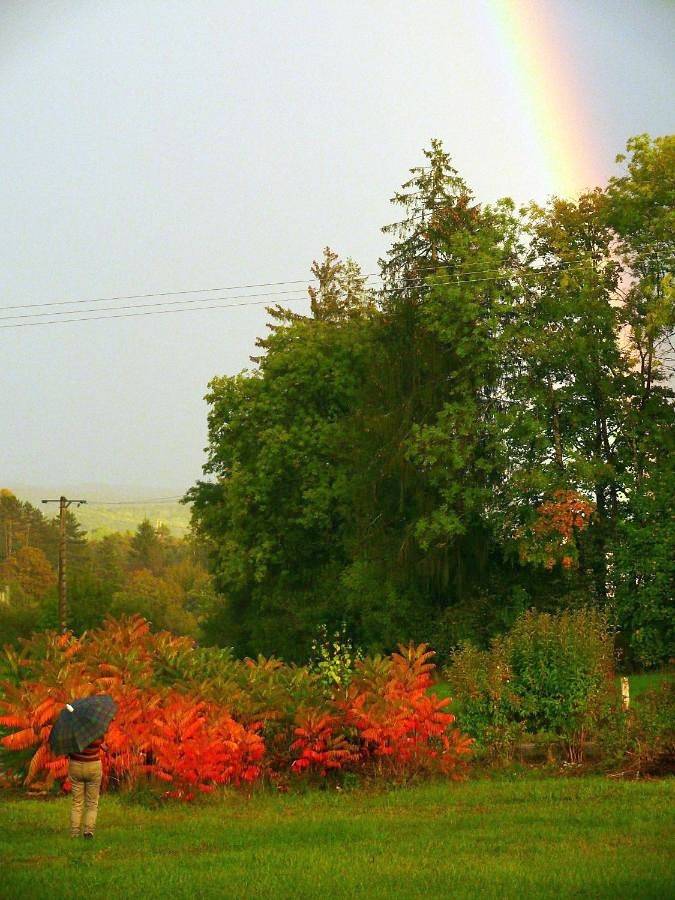 Gîte pour 4 personnes, avec jardin et vue à Pont-de-Poitte - 3