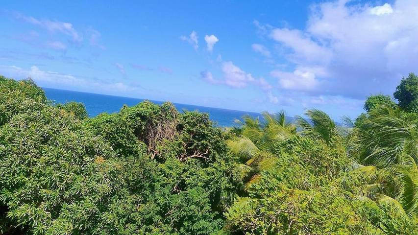 Location de vacances pour 6 personnes, avec vue et jardin à Le Marigot - 4