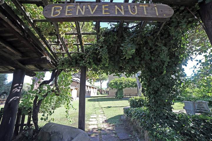 Ganze Wohnung, 8-person apartment with pool on Tuscan farm near the sea and Bolgheri! in Bolgheri, Castagneto Carducci