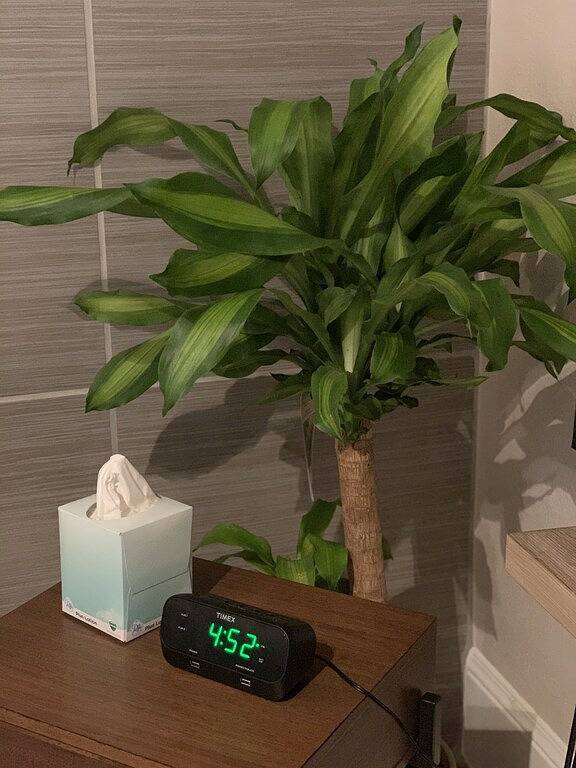 Location de vacances pour 2 personnes à San Francisco - 3