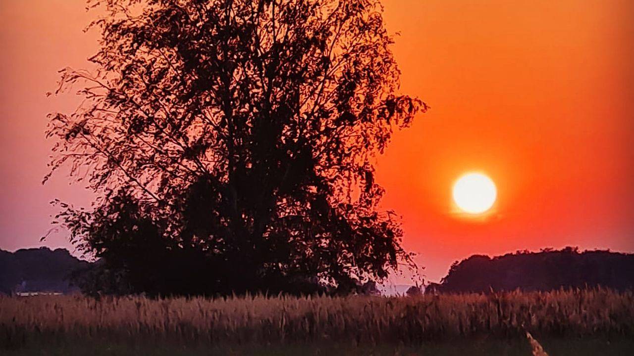 Ganze Ferienwohnung, Ferienwohnung für 6 Personen (115 m²) in Dreschvitz in Dreschvitz, Rügen