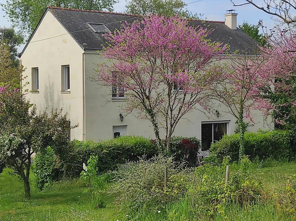 Les 2 Chênes in Saumur, Vallée de la Loire