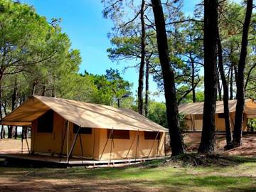 Camping für 4 Personen in Agde, Occitanie, Bild 1