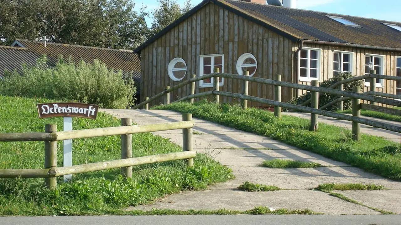 Ferienhaus für 4 Personen (70 m²) in Hallig Hooge in Halligen