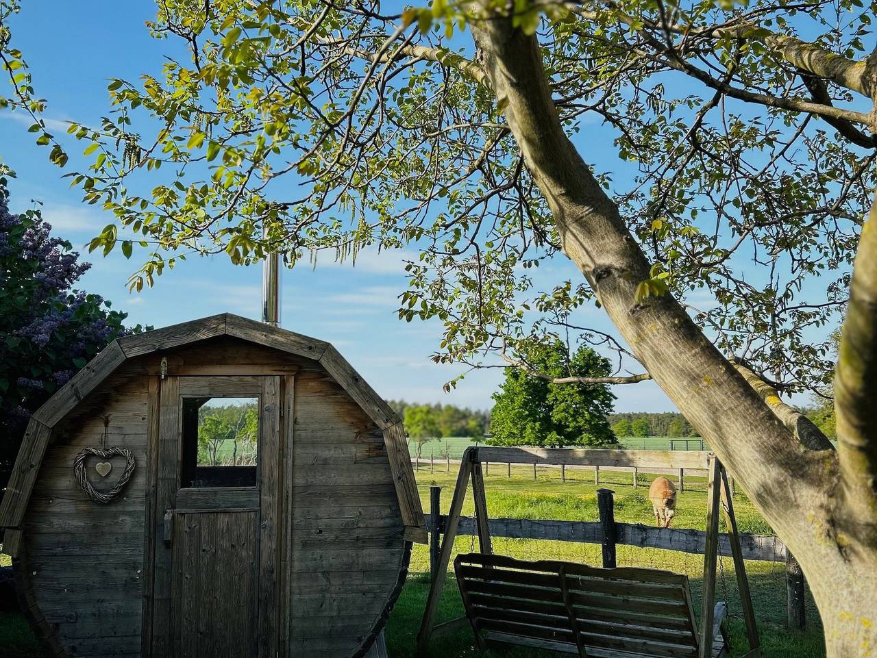 Ganze Ferienwohnung, Ferienhof Welz - Ferienwohnung Schusterhaus in Neupetershain, Lausitzer Seenland
