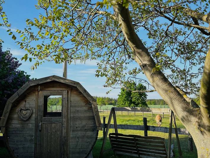 Ganze Ferienwohnung, Ferienhof Welz - Ferienwohnung Schwalbennest in Neupetershain, Lausitzer Seenland