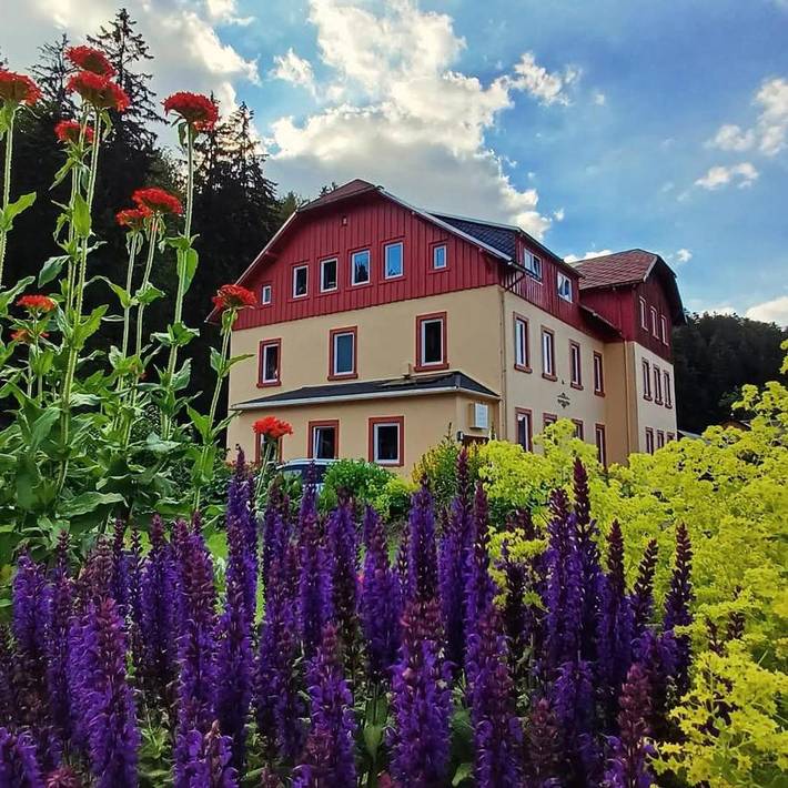 Ferienwohnung für 5 Personen, mit Garten und Ausblick, mit Haustier in Altenberg