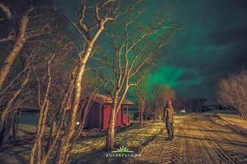 Ferienhaus für 2 Personen, mit Garten und Ausblick in Vesterålen