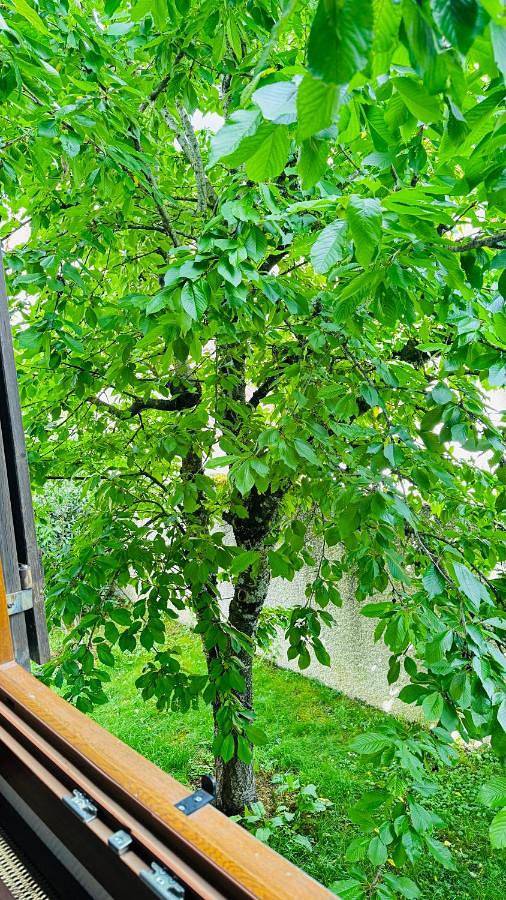 Gîte pour 2 personnes, avec vue et jardin à Quetigny - 4