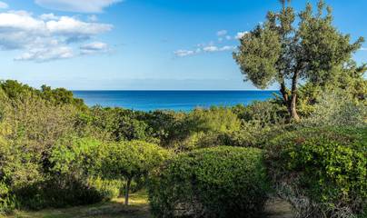 Agriturismo per 8 Persone in Castel Sant'Elmo, Cagliari e Dintorni, Foto 3