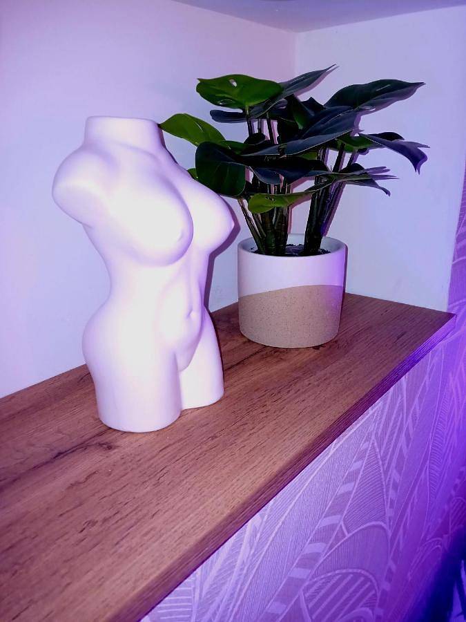 Gîte pour 2 personnes, avec Jacuzzi à Denain - 2