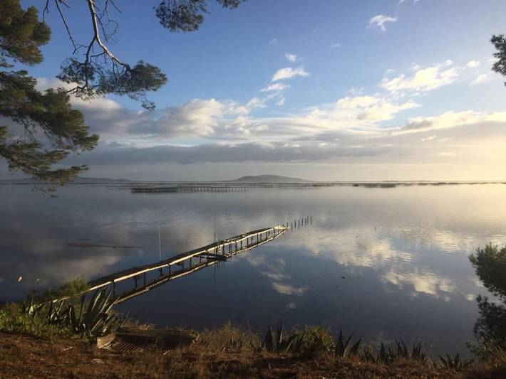 Chambre d’hôte pour 4 personnes, avec vue sur le lac et jardin ainsi que piscine et vue à Marseillan - 3