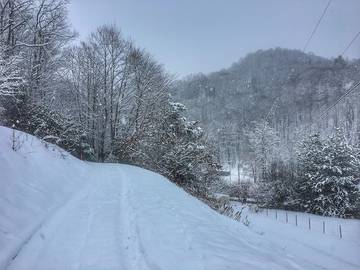 Glamping for 4 Guests in Blue Ridge Mountains, North Carolina, Picture 4