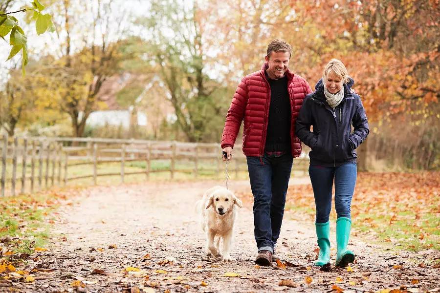 Ecolodge accessible 4 personas in Bouillon, Neufchâteau region