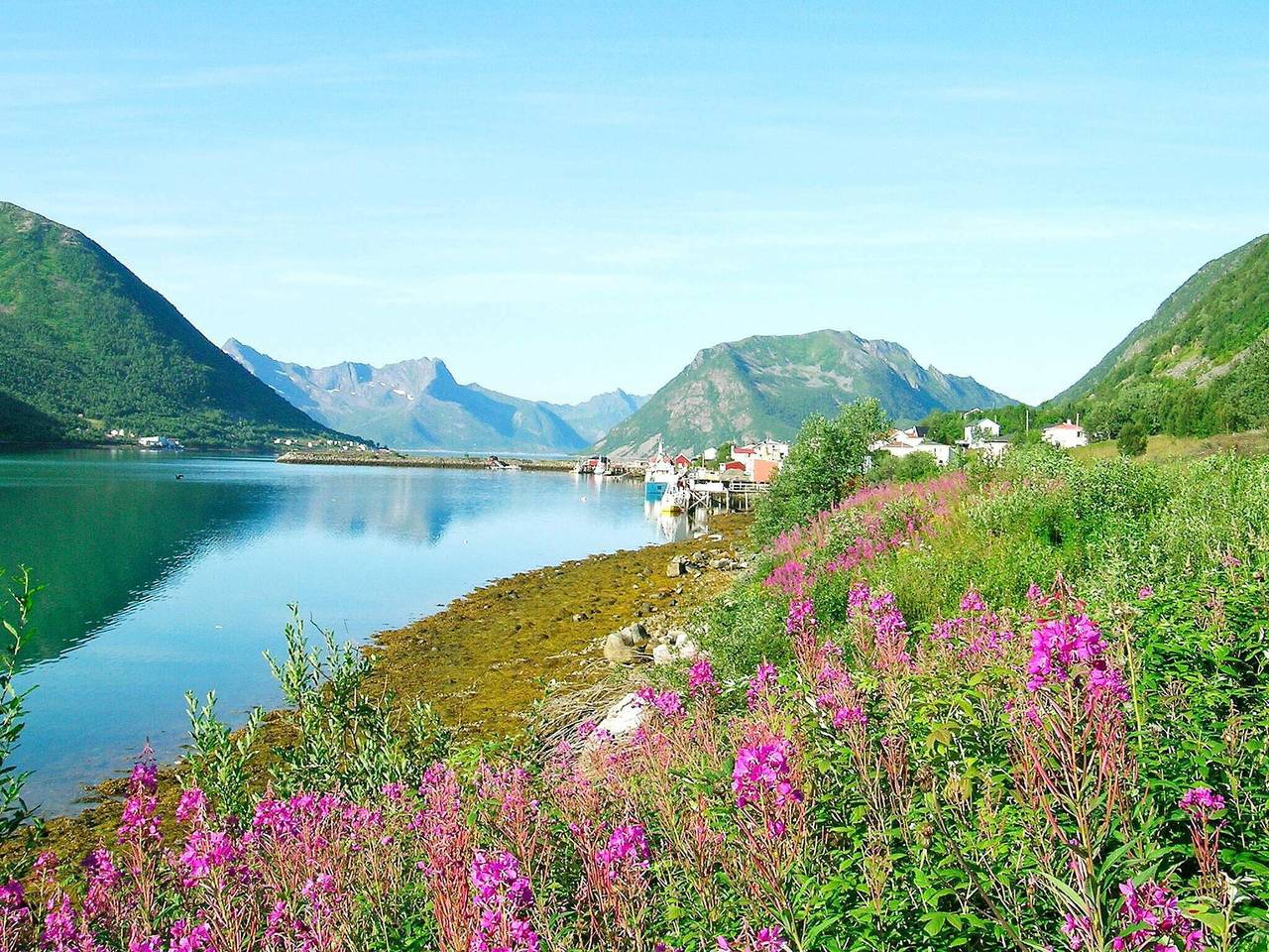 Feriehus til 8 Personer i Senja, Sifjord