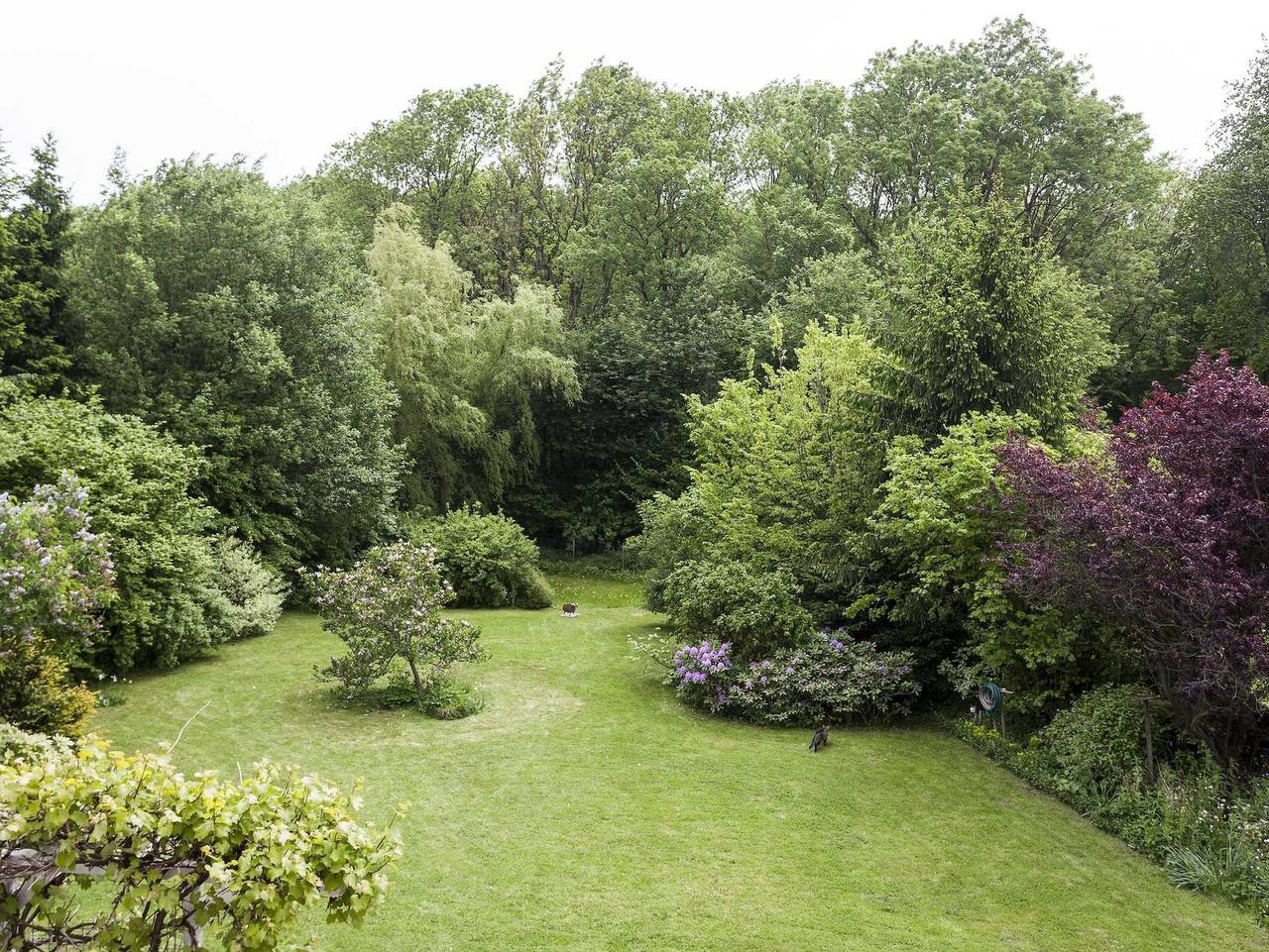 Ganze Ferienwohnung, Ferienwohnung Putbus - Ferienwohnung 2 in Putbus, Bergen auf Rügen und Umgebung