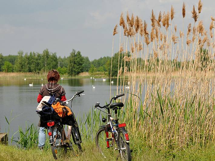 Ferienhaus für 4 Personen, mit Garten und Terrasse, kinderfreundlich in Mecklenburgische Seenplatte - 4