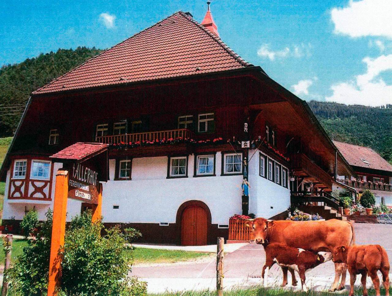 Ganze Wohnung, Ferienwohnung 'Faller' mit privater Terrasse, Balkon und Wlan in Elzach, Mittlerer Schwarzwald
