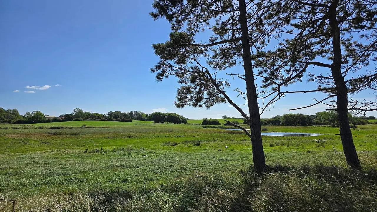 Feriehus for 17 personer med sauna in Kegnæs, Lillebælt