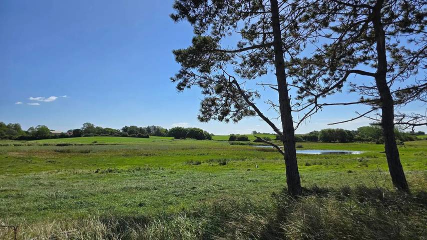 Ferienhaus für 17 Personen, mit Sauna und Garten sowie Pool und Whirlpool in Kegnæs - 4
