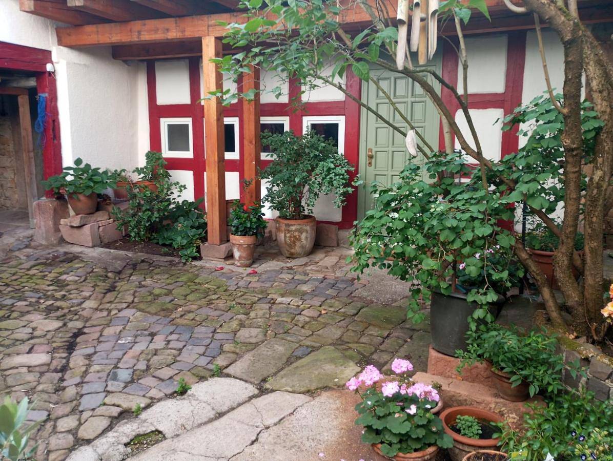 Ganze Wohnung, Ferienwohnung Unterm Schloß in Hambach (Neustadt), Neustadt an der Weinstraße