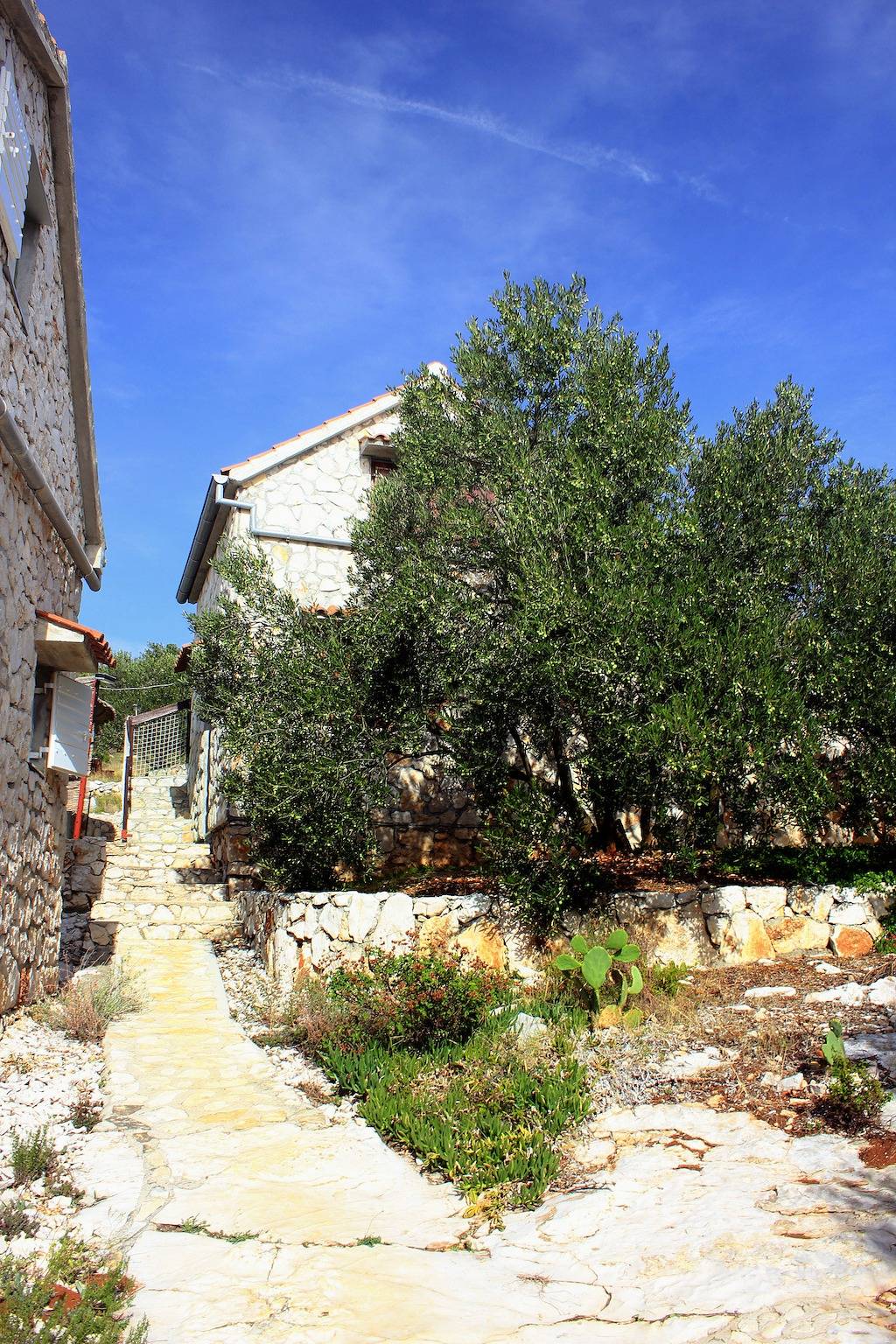 1-Zimmer-Haus am Strand Bucht Vitane, Pasman K-8484 in Tkon, Pasman