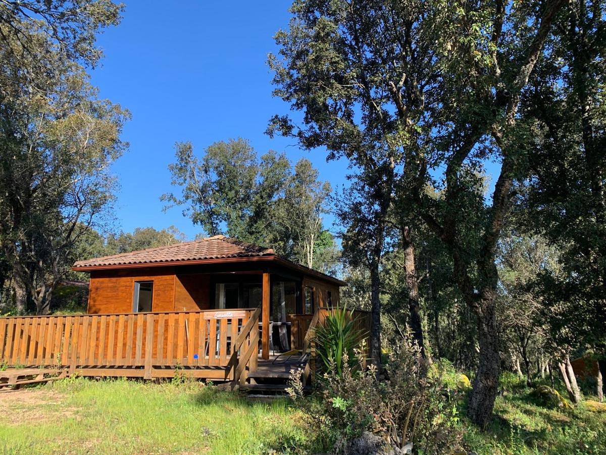 Chalet in the forest (2 adults + 2 children) in Sartène, Arrondissement de Sartène