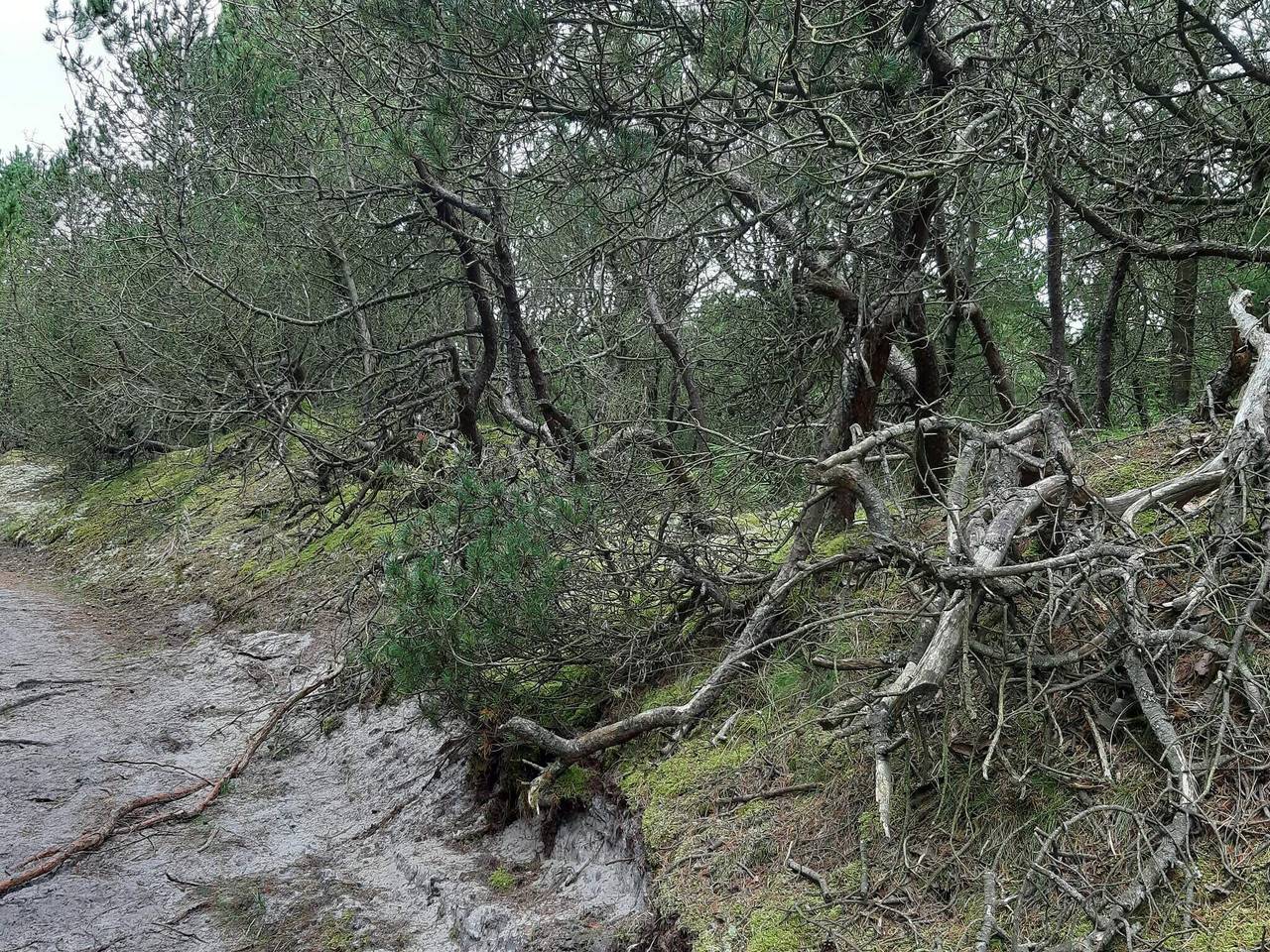 6 Personen Ferienhaus in Nørre Nebel in Nørre Nebel, Varde