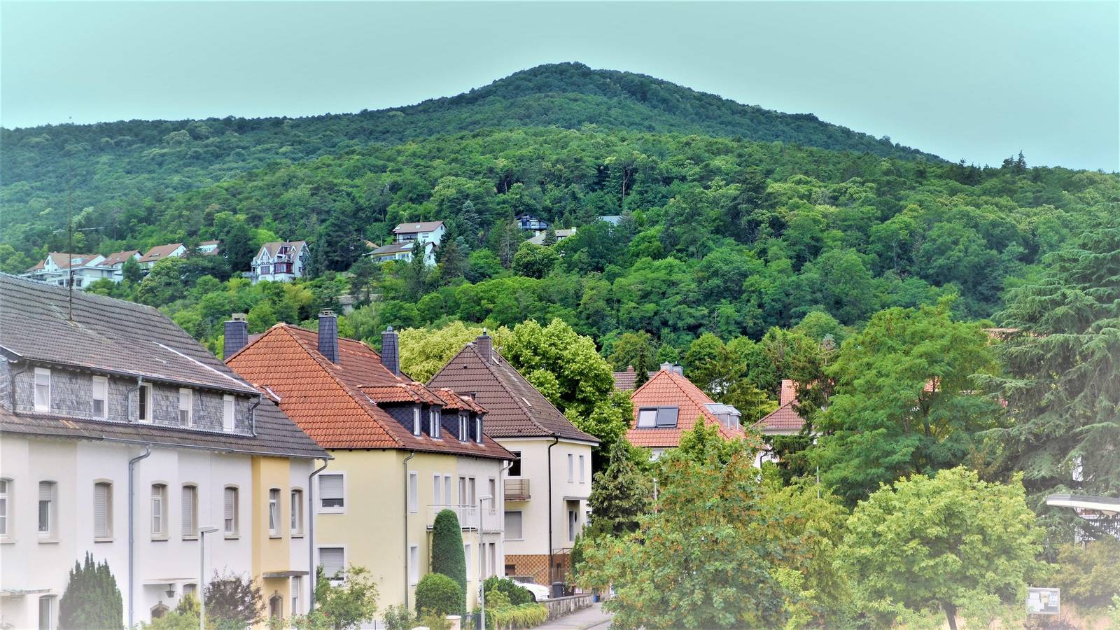 Ganze Ferienwohnung, Appartement/Fewo, Dusche und Bad, Wc, 2. Schlafraum in Neustadt-Stadtmitte, Neustadt an der Weinstraße