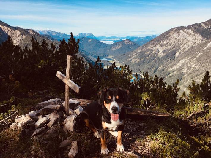 Ferienwohnung für 4 Personen, mit Balkon/Terrasse und Balkon, mit Haustier in Ruhpolding - 3