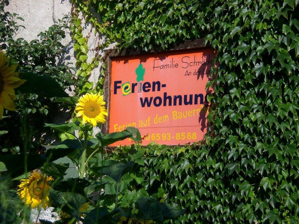 Ganze Ferienwohnung, Ferienhof An der Lay - Spatzennest in Kerpen (Eifel), Vulkaneifel