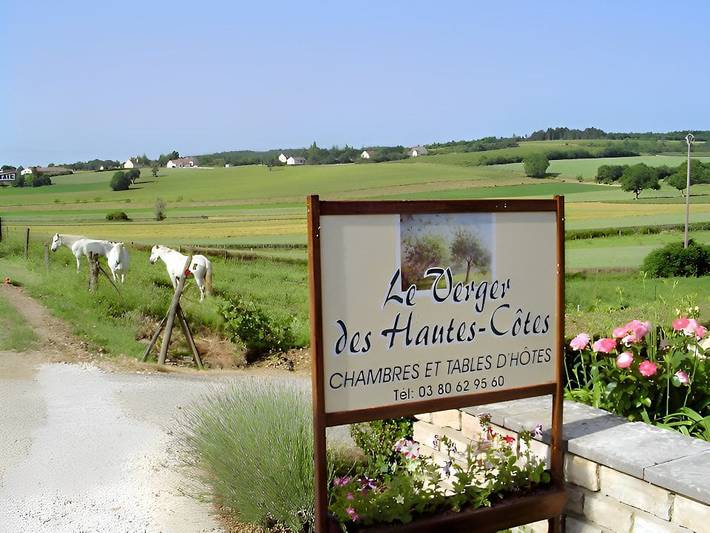 Chambre d’hôte pour 2 personnes, avec jardin dans Côte-d'Or - 2