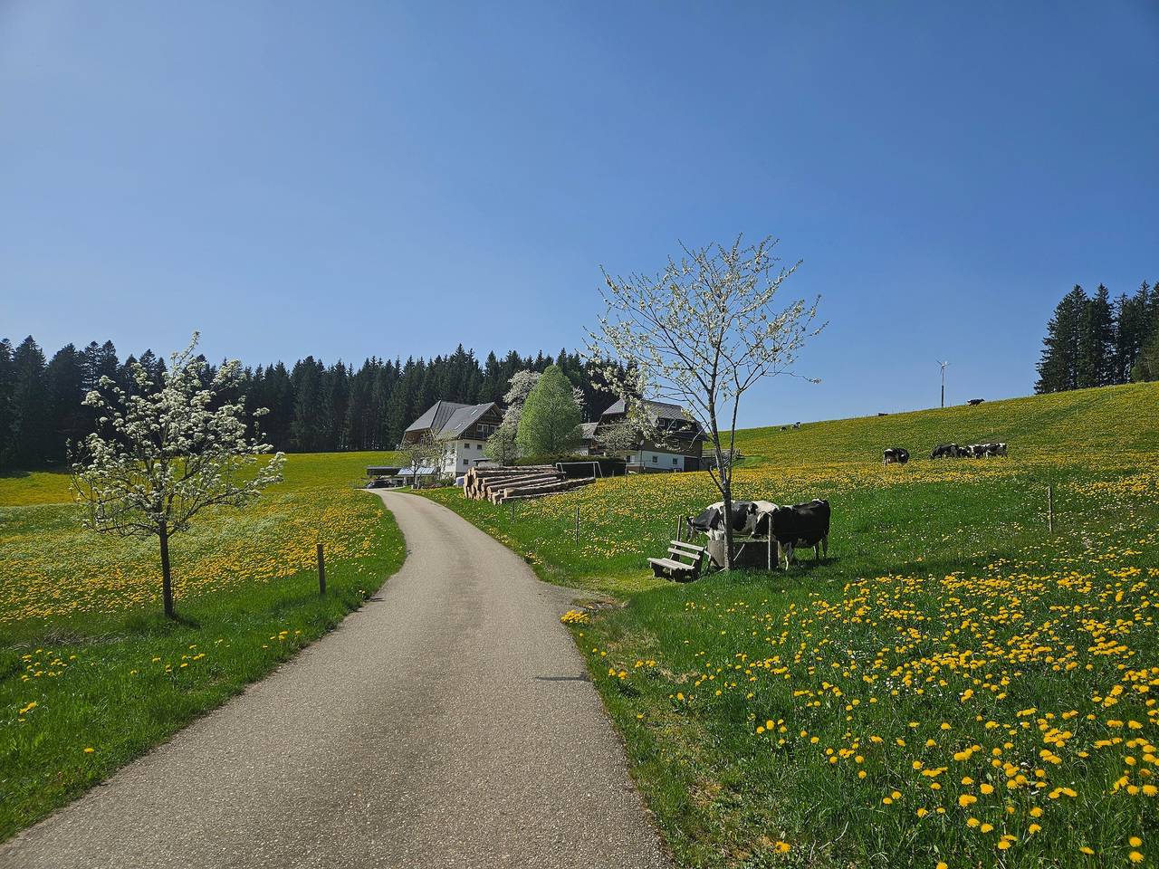 Ganze Wohnung, Ferienwohnung 'Talblick' mit separater Küche, 1 Schlafzimmer und Gemeinschaftsterrasse in Titisee-Neustadt, Südschwarzwald