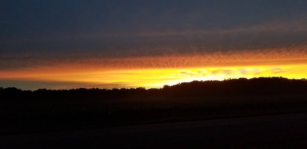 Bluebelle Tiny House in the 'Hundred Acre Woods'! in Adams County (WI)