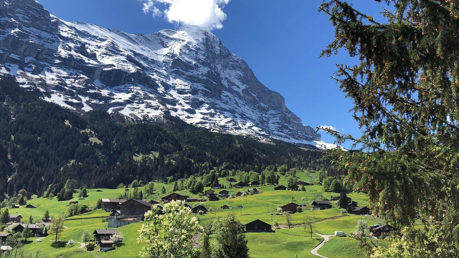 Chalet for single occupancy - top garden - mountain views in Grindelwald, Región de Grindelwald