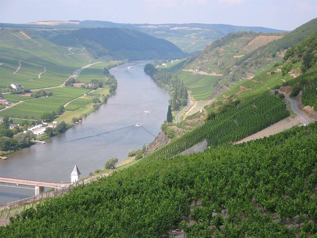 Ganze Ferienwohnung, Ferienweingut Wolfgang Bollig - Inh. M. Bollig in Trittenheim, Moseleifel