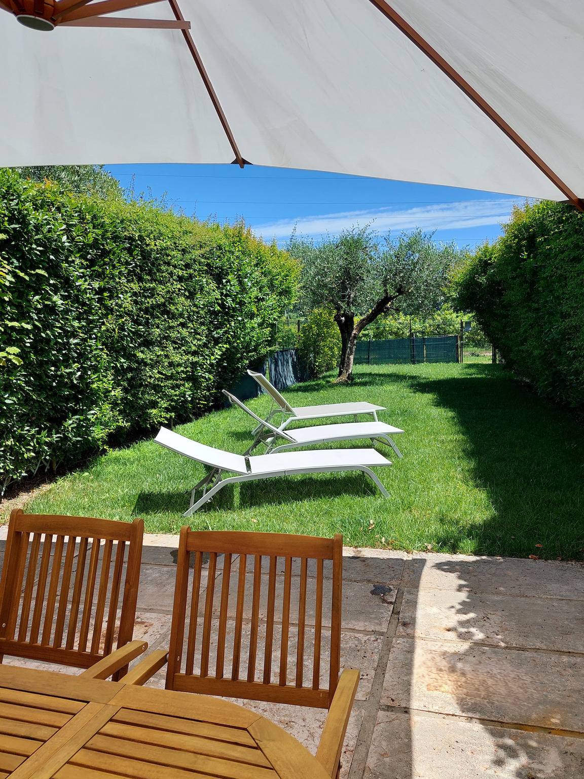 Regarda - Countryhouse Nocino 2 in the middle of Lake Garda vineyards in Lazise, Montañas Garda