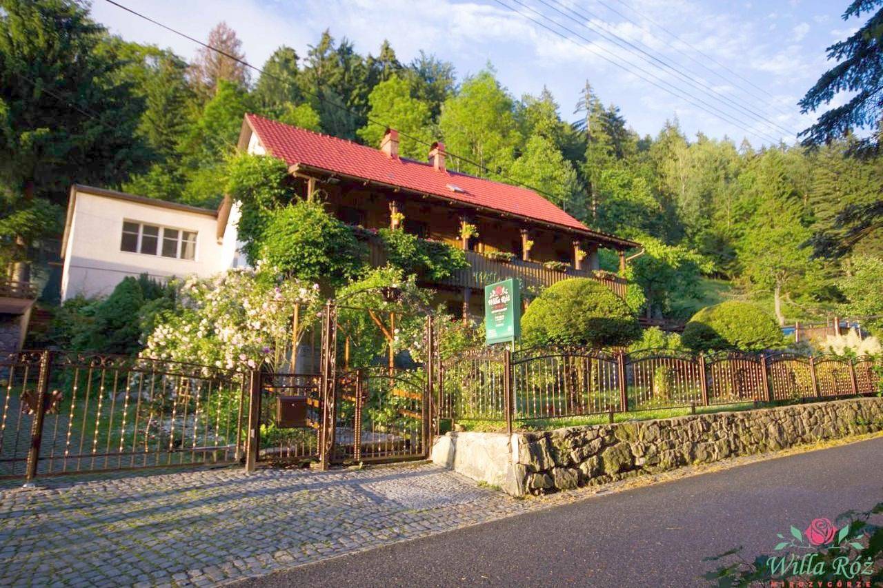 Cały apartament wypoczynkowy, Willa Róż w Międzygórzu in Międzygórze, Sudety (Polska)