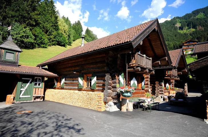 Holiday letting for 7 people, with terrace and sauna, with pets in Mayrhofen