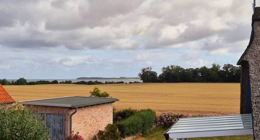 Ferienhaus für 4 Personen, mit Terrasse und Garten, mit Haustier in Zierow - 2